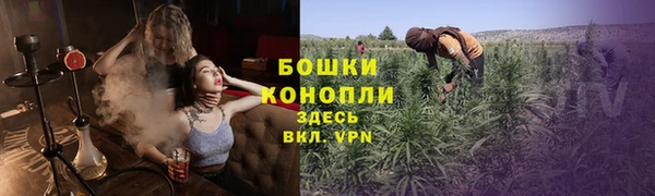 трава Михайловск