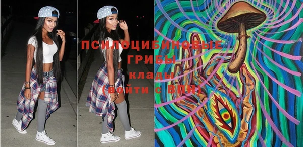 PSILOCYBIN Михайловка