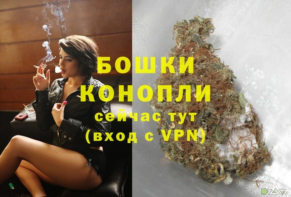 PSILOCYBIN Михайловка
