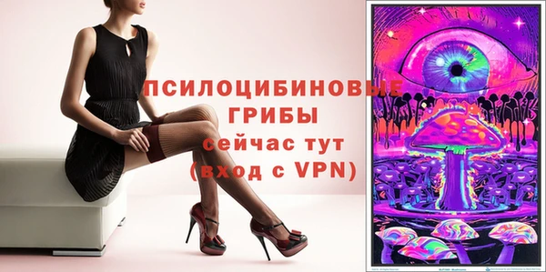 PSILOCYBIN Михайловка