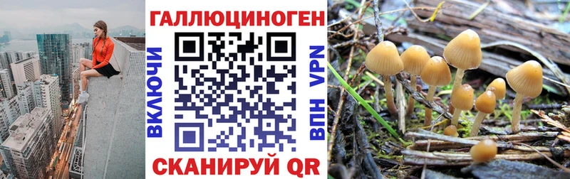 где можно купить наркотик Нахабино Псилоцибиновые грибы прущие грибы