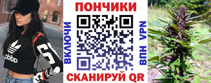 продажа наркотиков  hydra как зайти  Марихуана планчик  Нахабино 